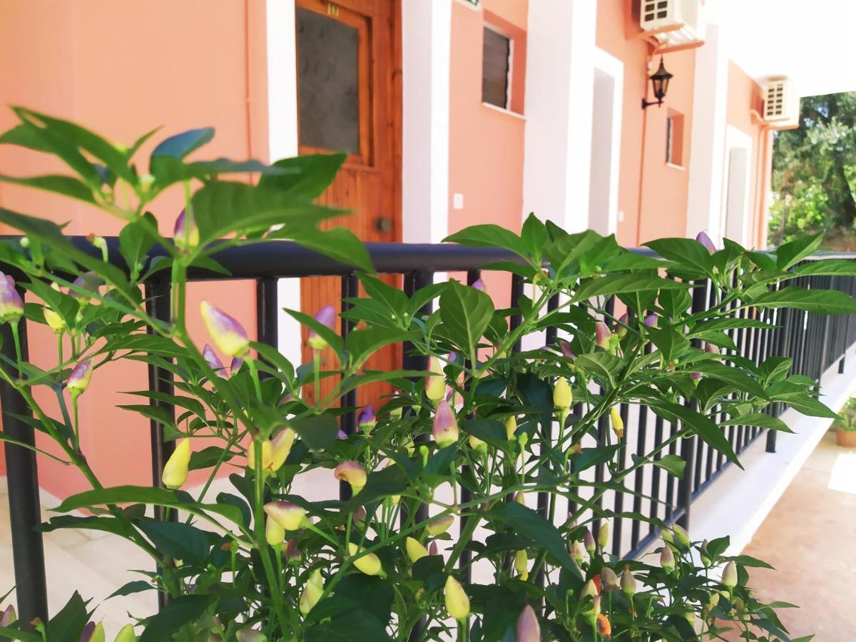 Aronis Apartments Benitses  Luaran gambar